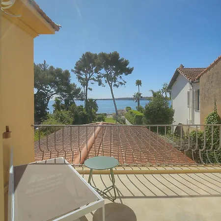 Vila Frgk Moure Rouge Palm *