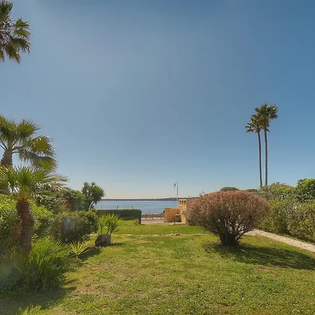 Frgk Moure Rouge Palm Vila *