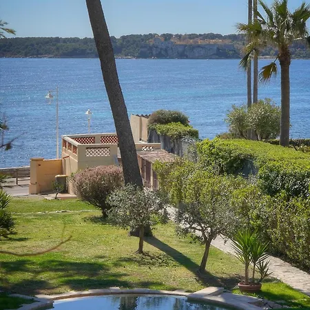 Vila Frgk Moure Rouge Palm